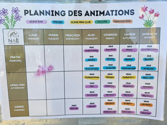 Planning des animations